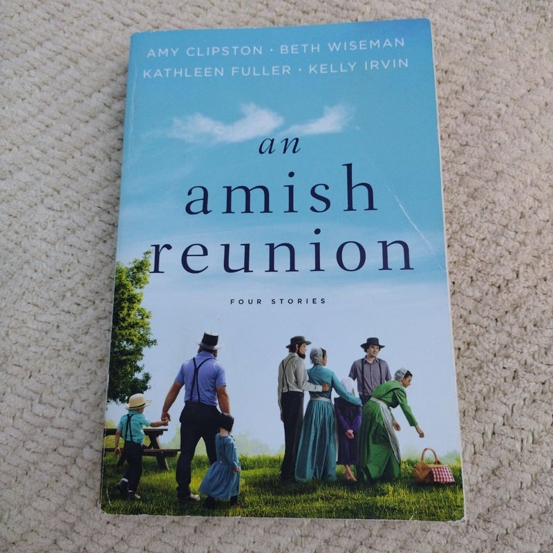 An Amish Reunion