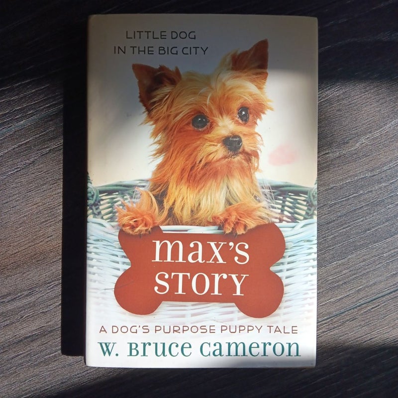 Max's Story