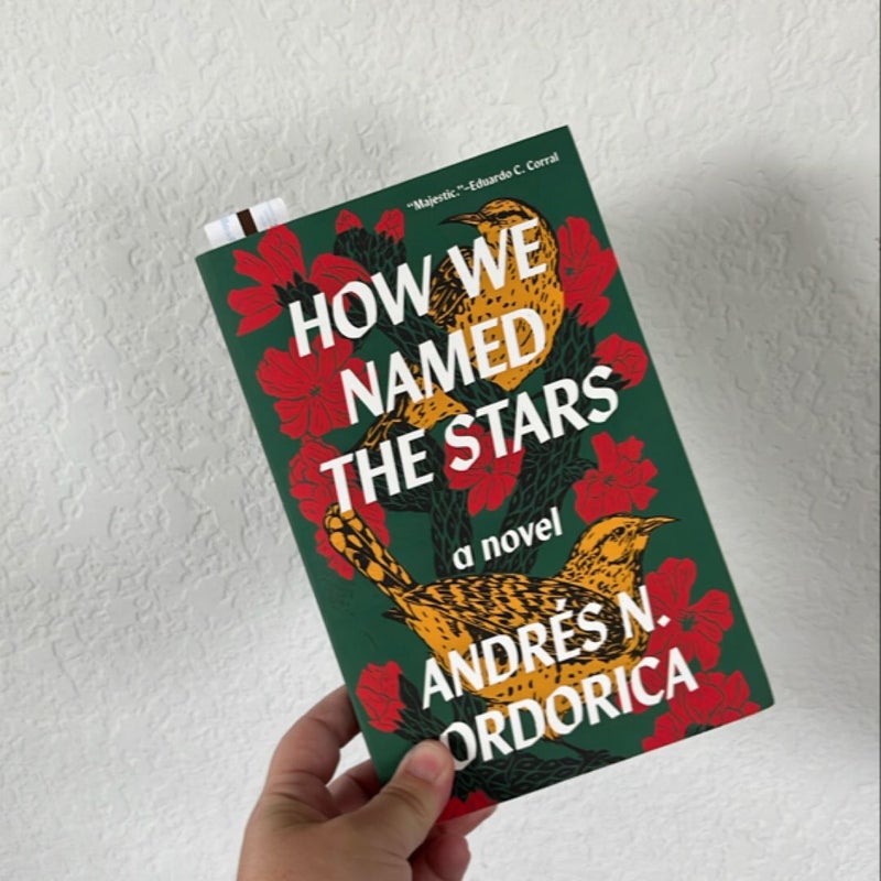 How We Named the Stars