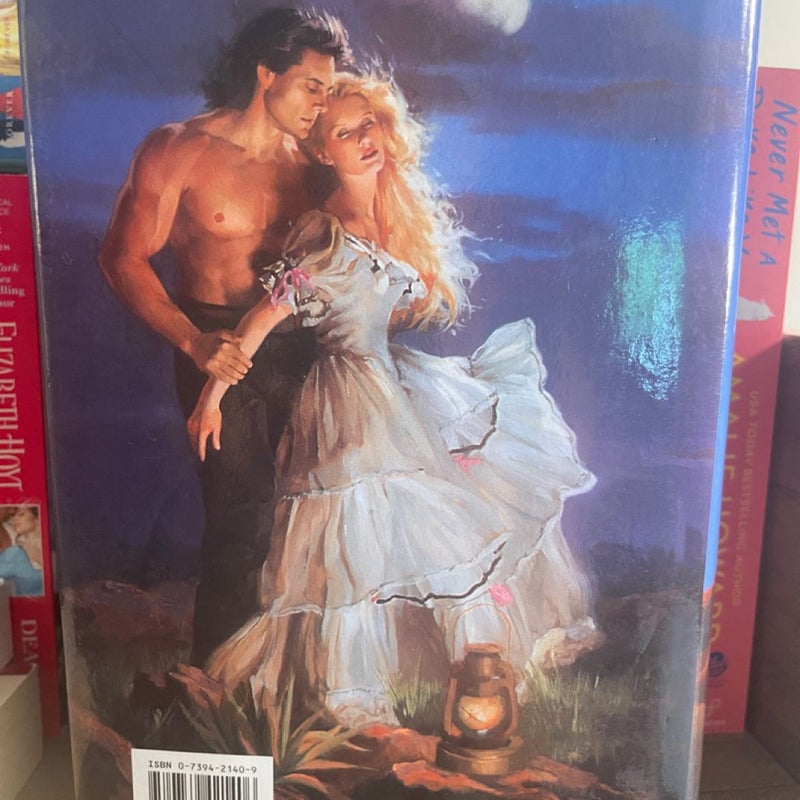 Outlaw and the Lady - Large Print Ed