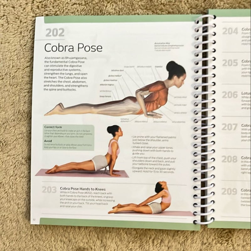 501 Yoga Exercises