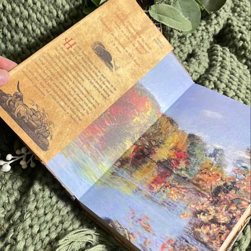 The Illustrated Walden
