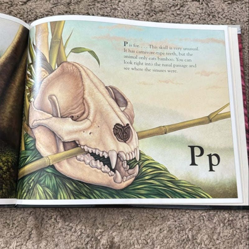 The Skull Alphabet Book