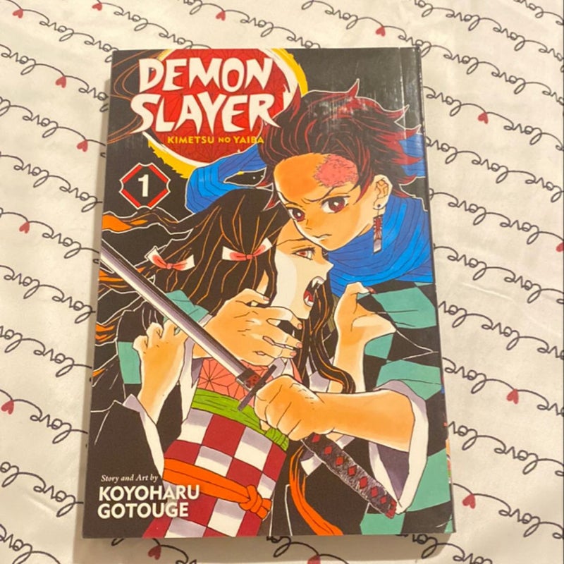 Demon Slayer: Kimetsu No Yaiba, Vol. 1