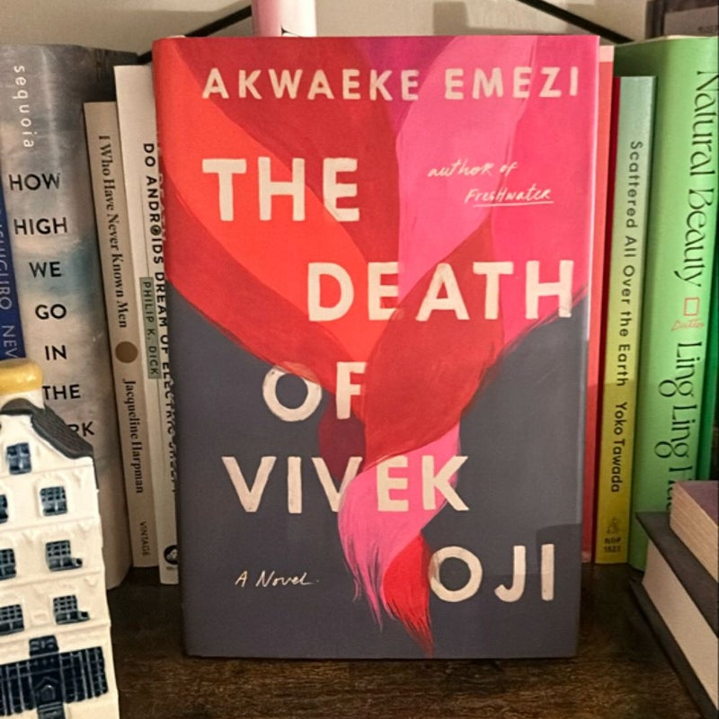 The Death of Vivek Oji