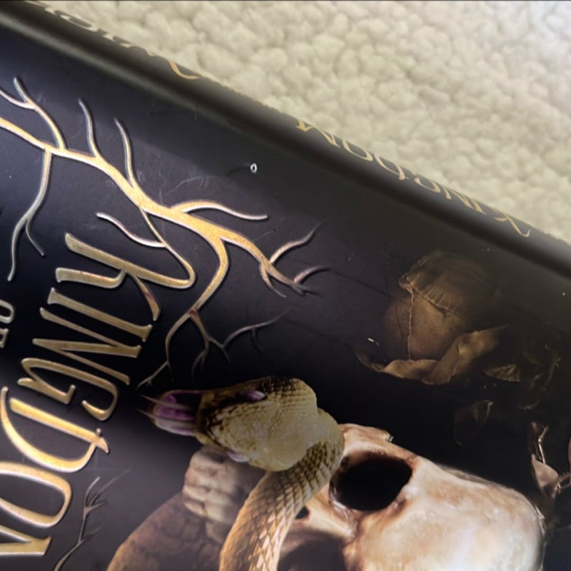 Kingdom of the Wicked