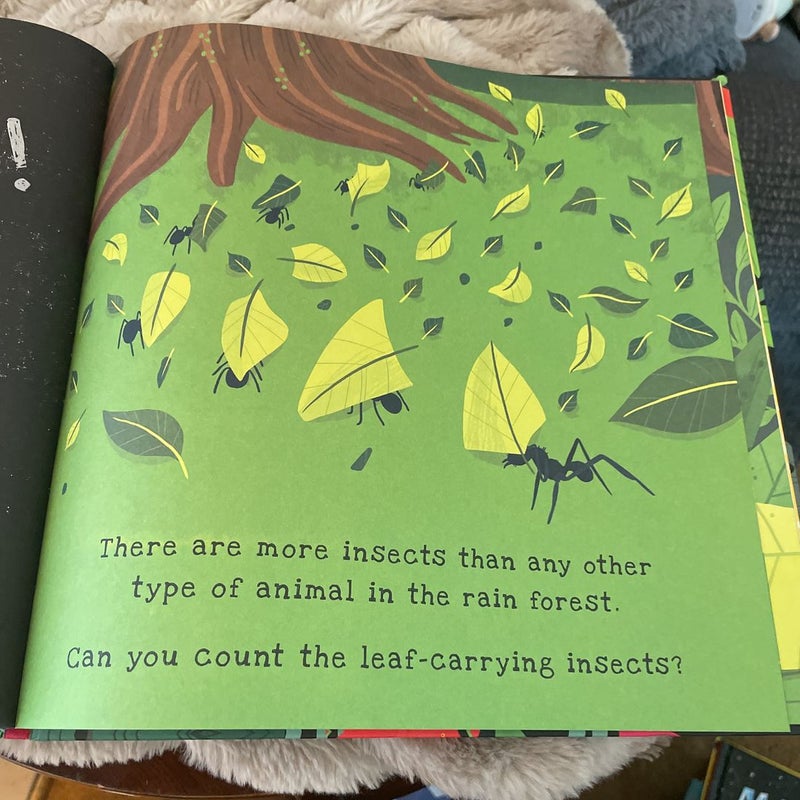 Secrets of the Rain Forest