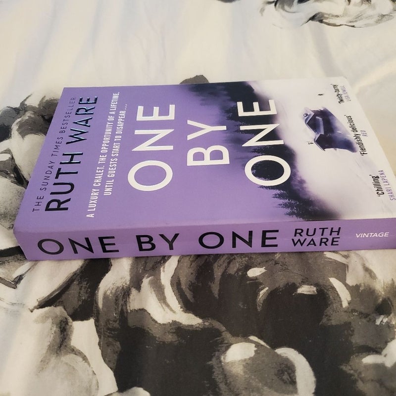 One by One (UK Vintage Paperback Edition)