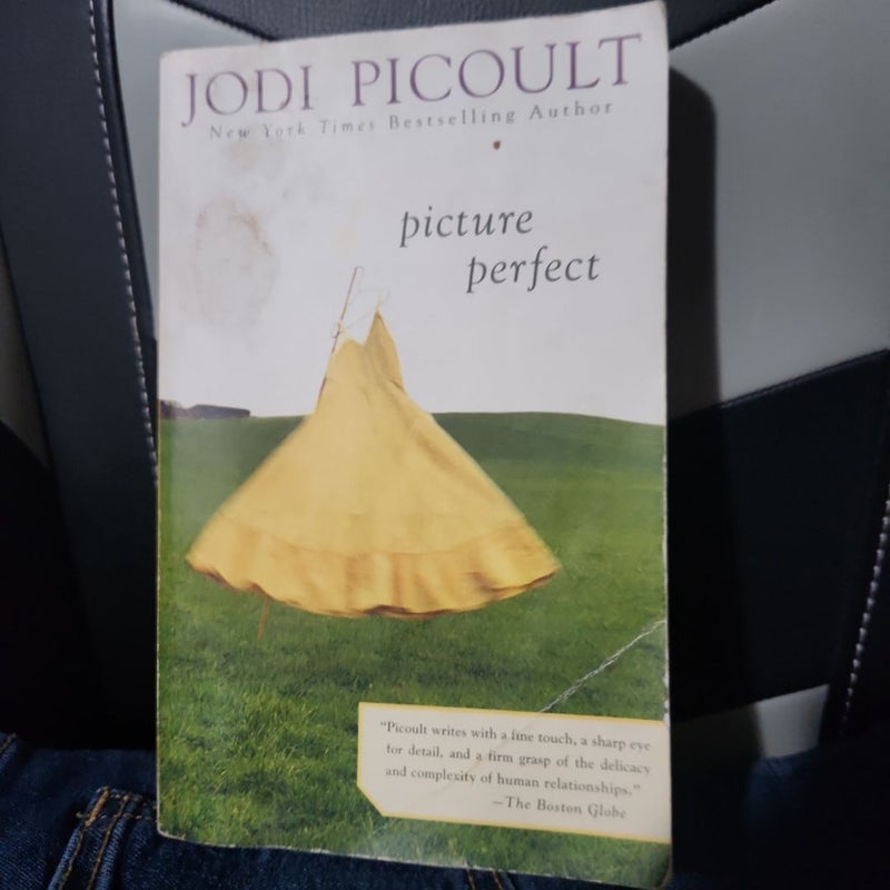 Picture Perfect