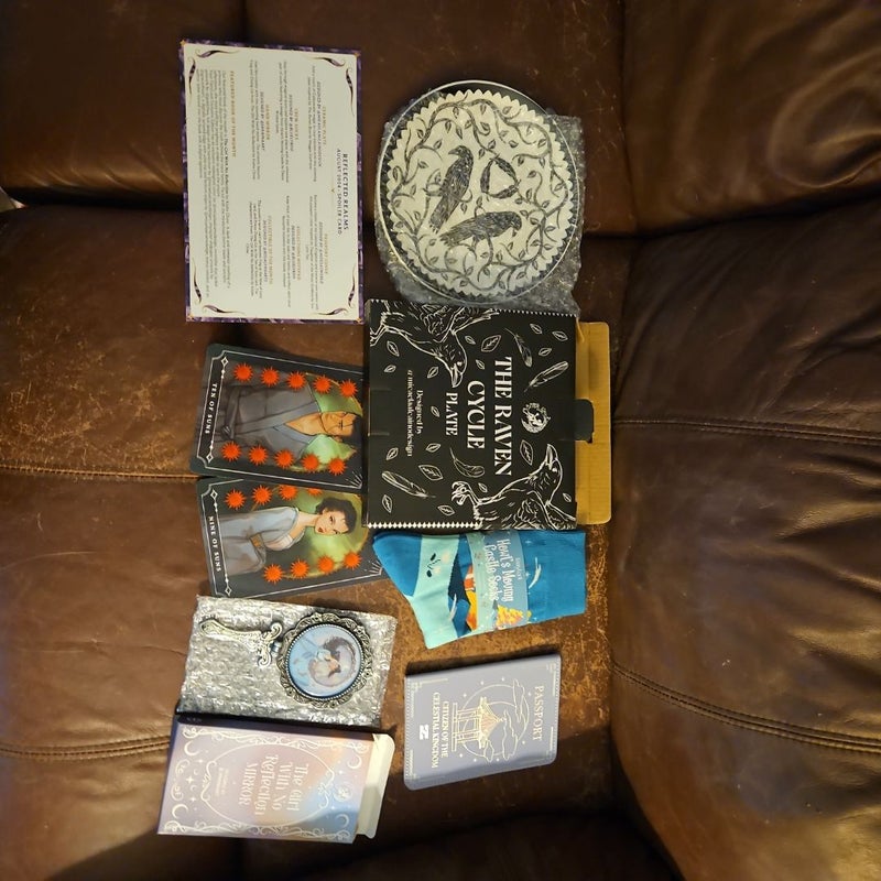 Fairyloot August Ya Bookish Merch Items Tarot Cards Mirror Plate Socks Passport