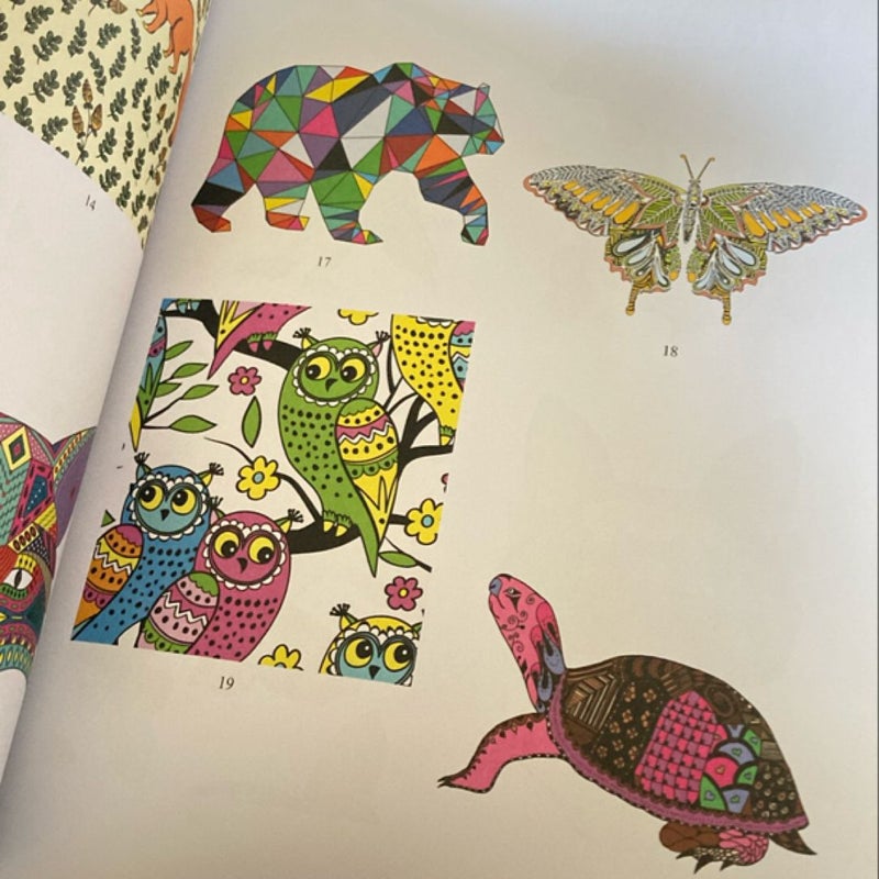 Whimsical Woodland Creatures: Coloring for Everyone