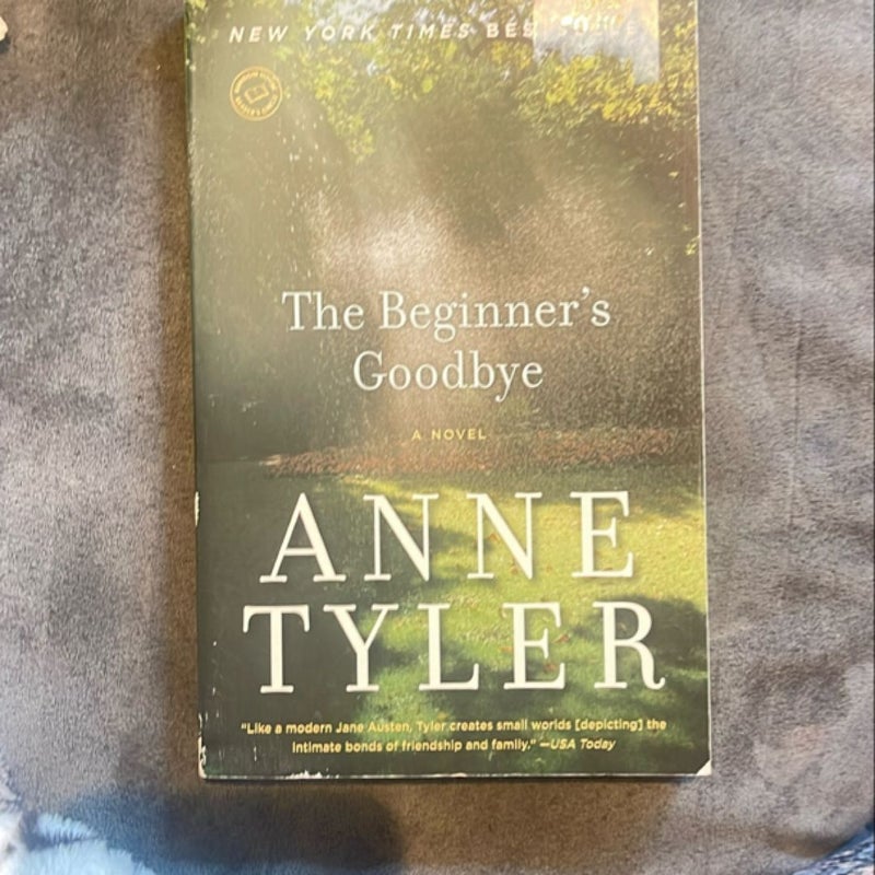 The Beginner's Goodbye