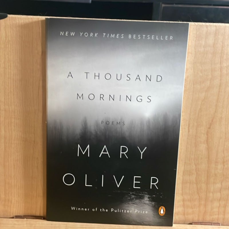 A Thousand Mornings