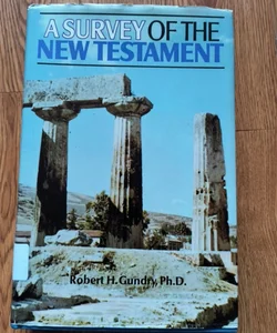 A survey of the new testament 