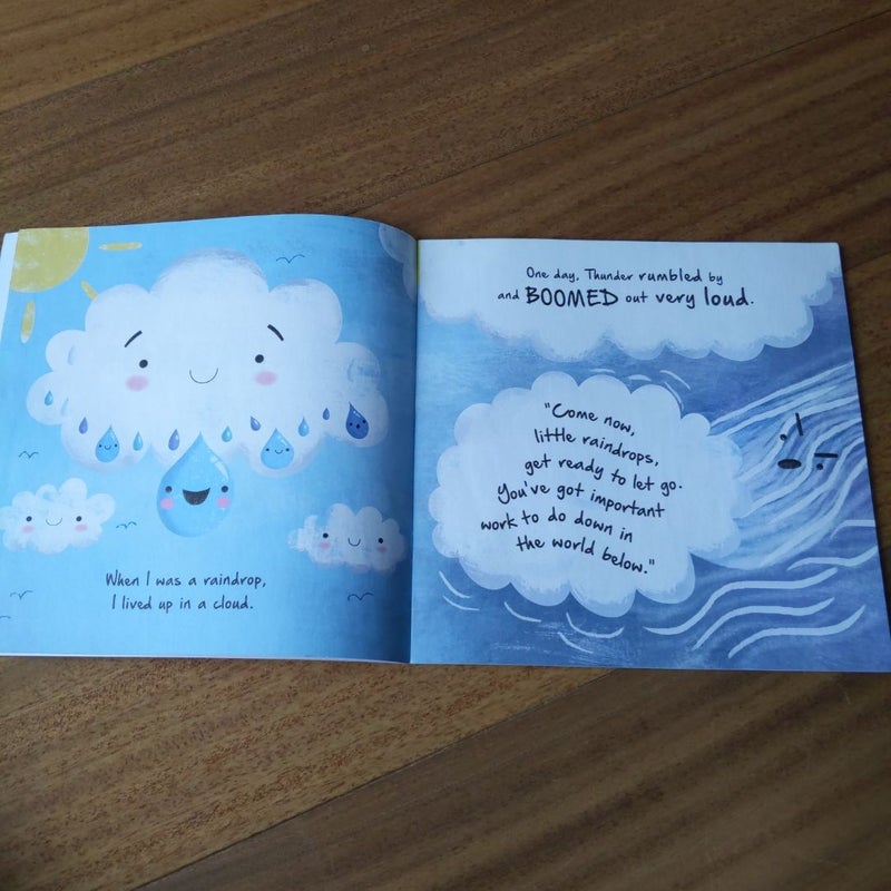 Little Raindrop