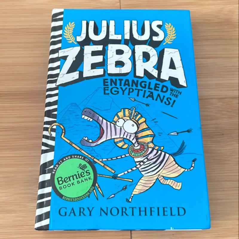 Julius Zebra: Entangled with the Egyptians!