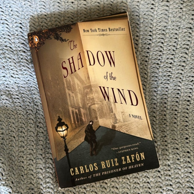 The Shadow of the Wind