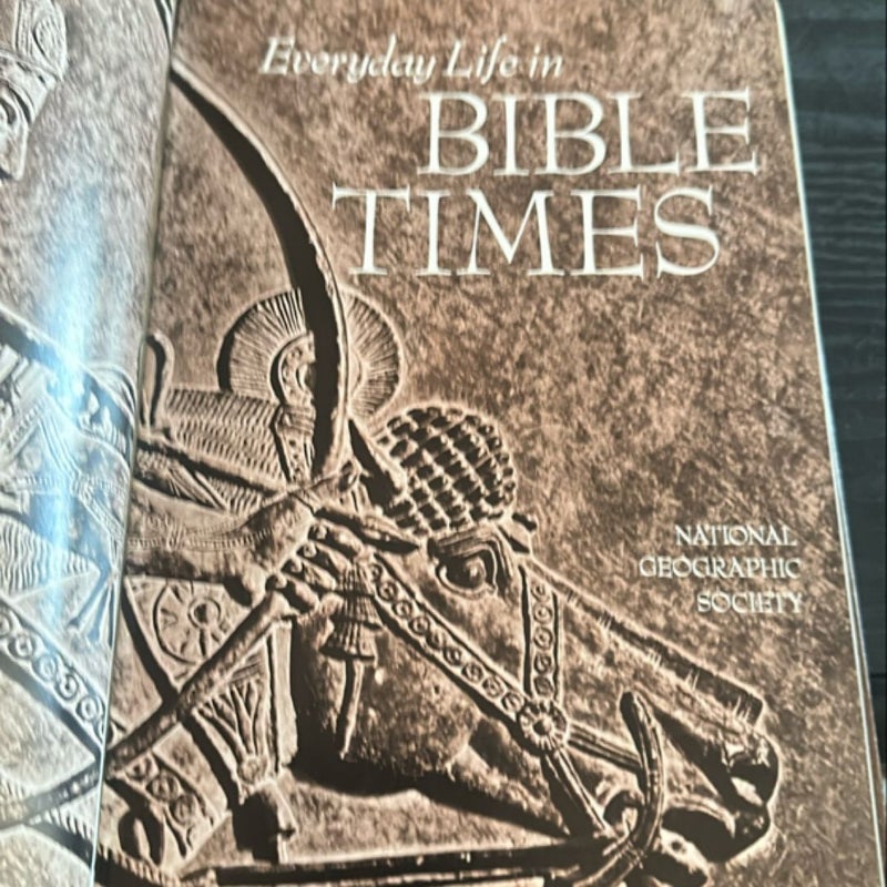 Everyday Life in Bible Times