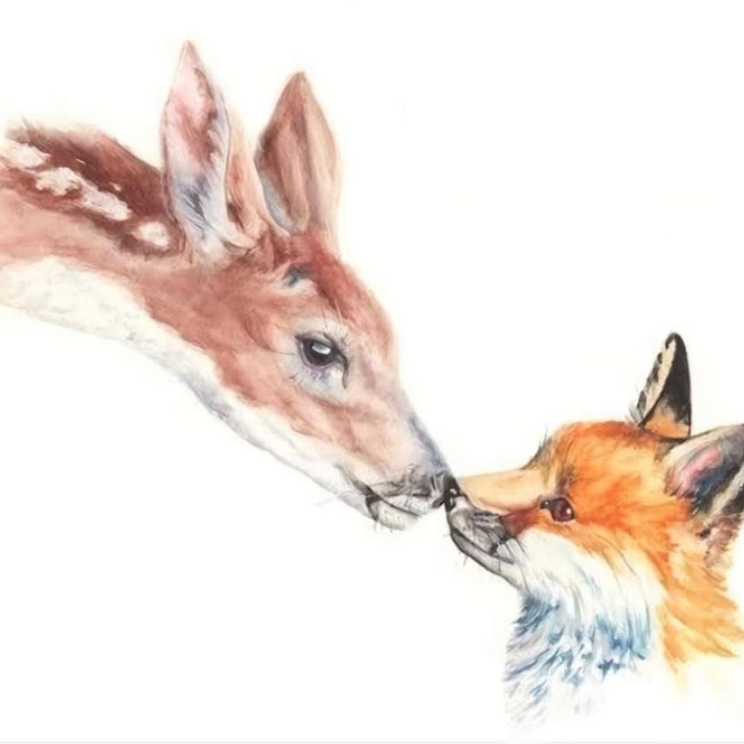 Fox and Doe
