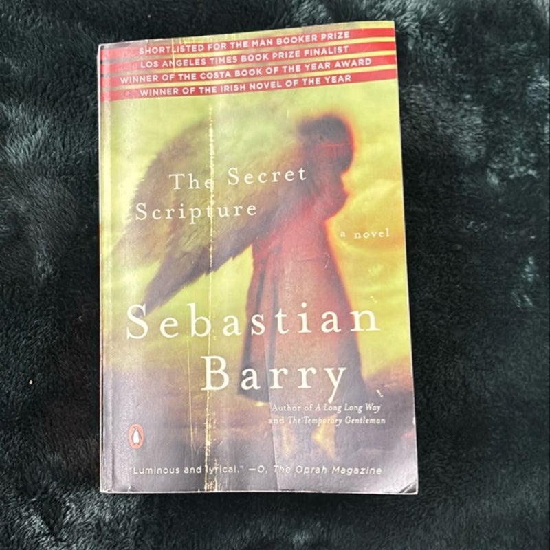 The Secret Scripture