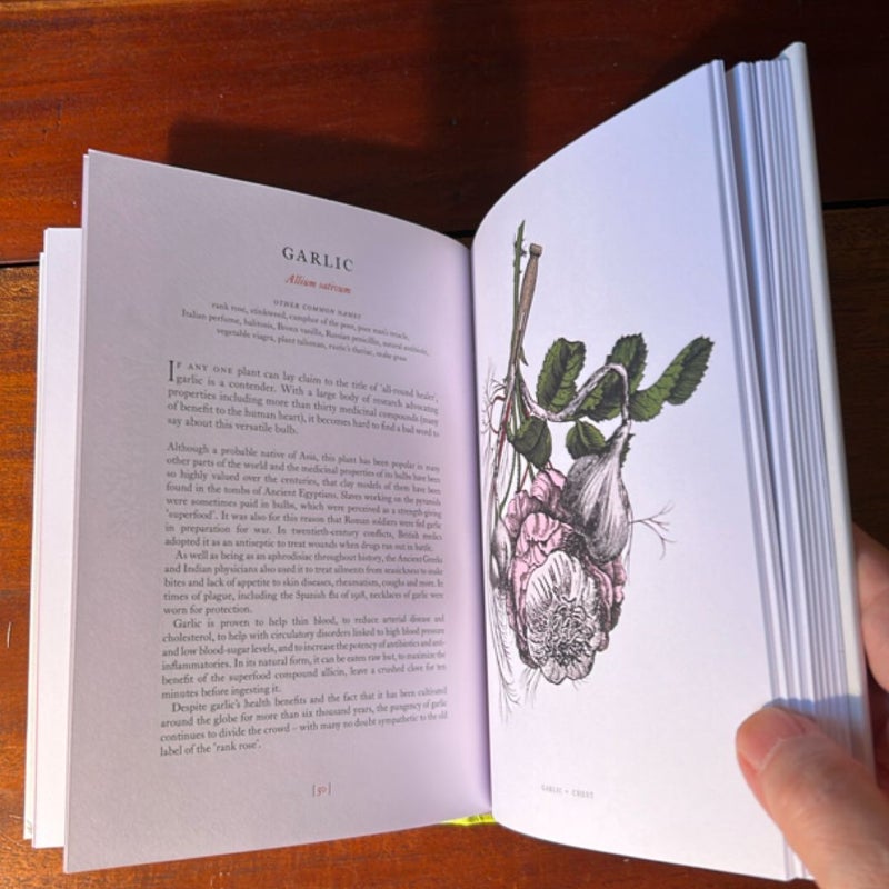 The Physick Garden