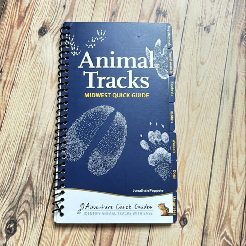 Animal Tracks