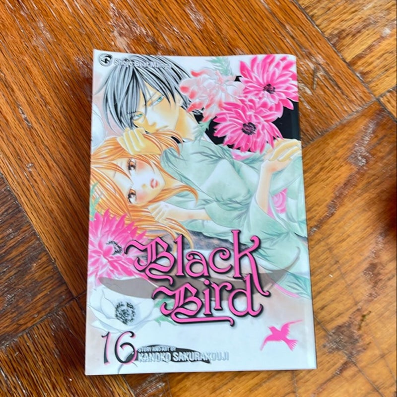 Black Bird, Vol. 16