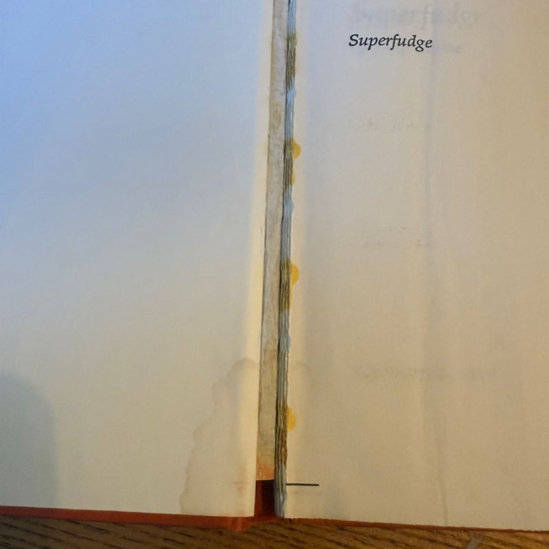 Superfudge 