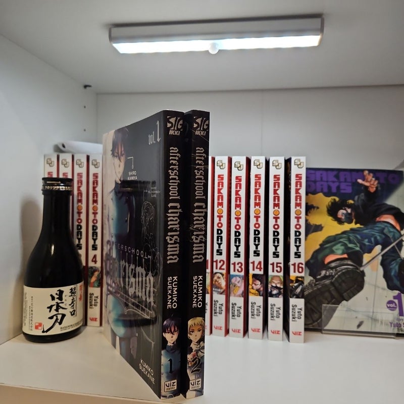Afterschool Charisma, Vol. 1 and 2