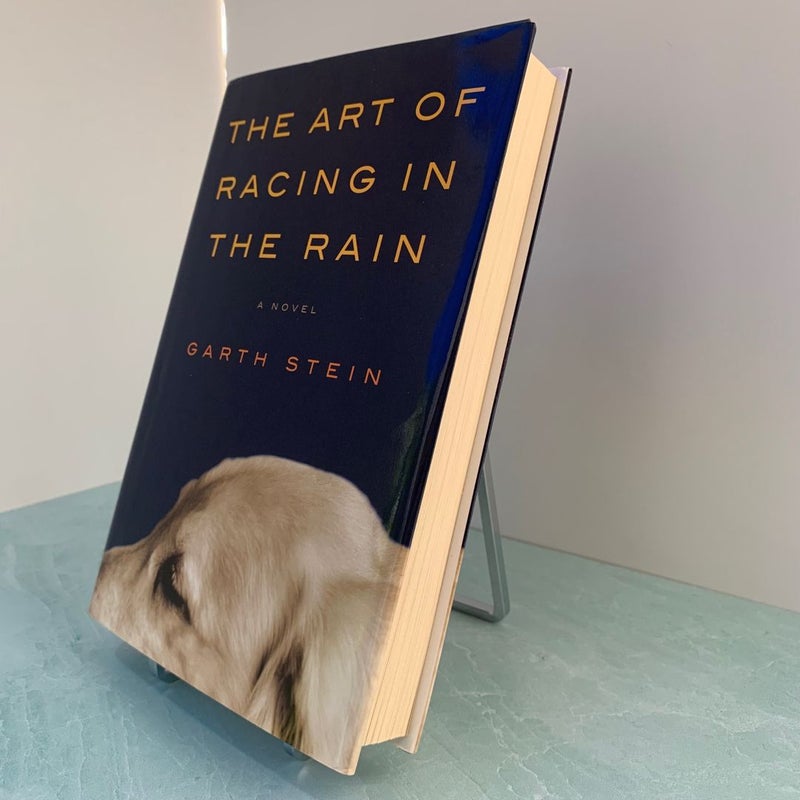 The Art of Racing in the Rain