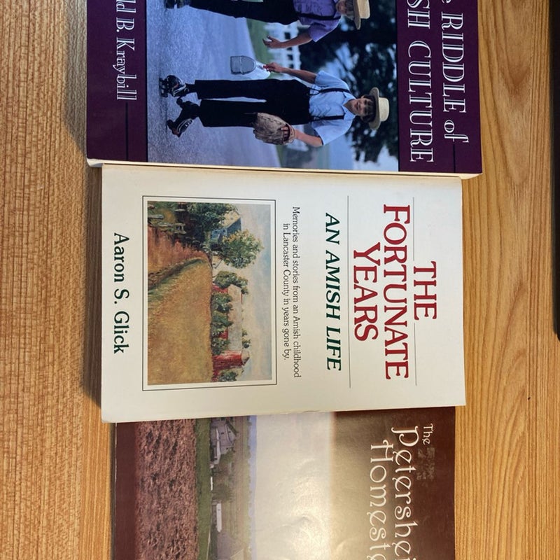 Bundle of 3 Amish Culture Books 