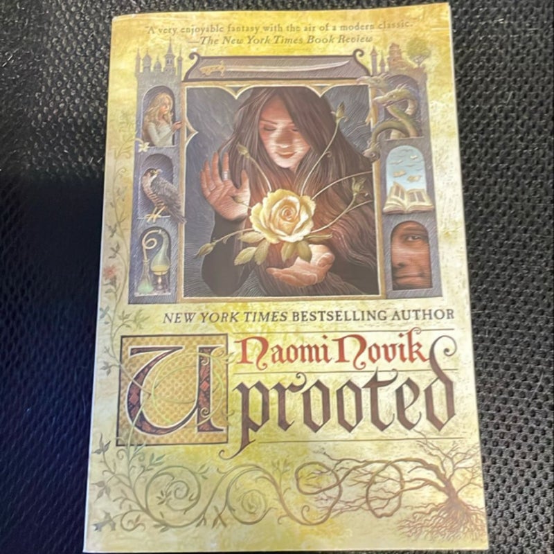 Uprooted