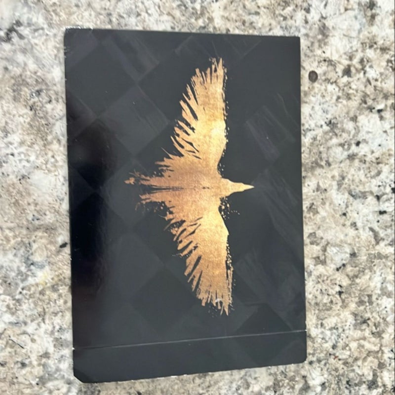 Ravenhood trilogy special book box edition