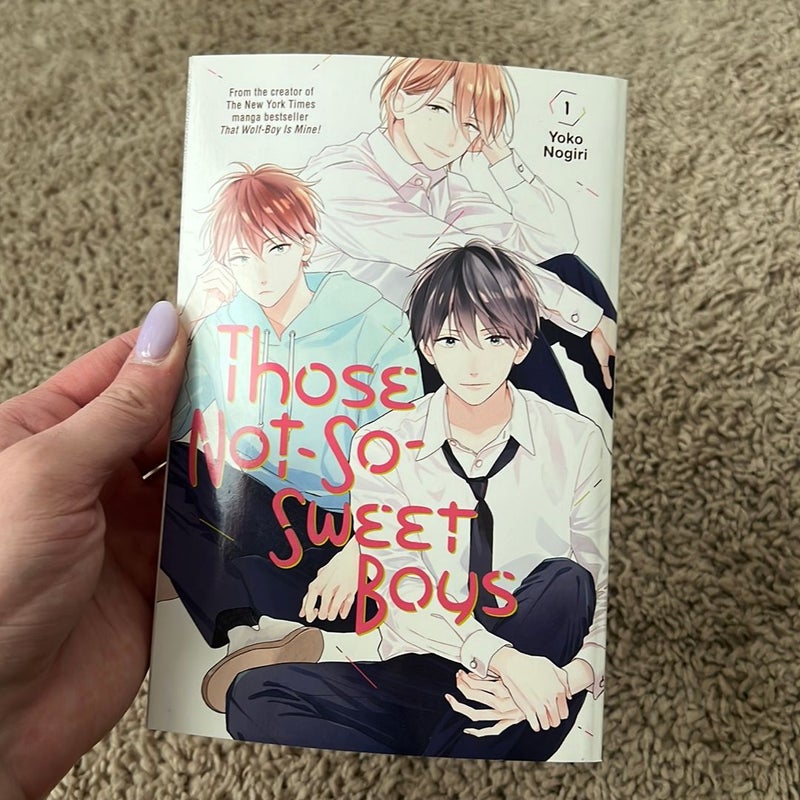 Those Not-So-Sweet Boys 1