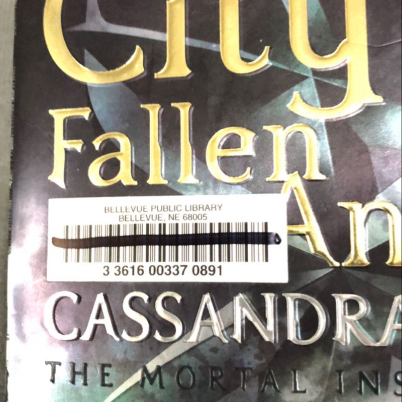 City of Fallen Angels