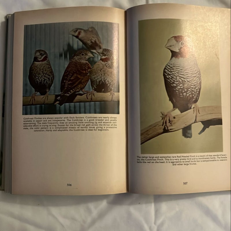 Finches and Soft-Billed Birds