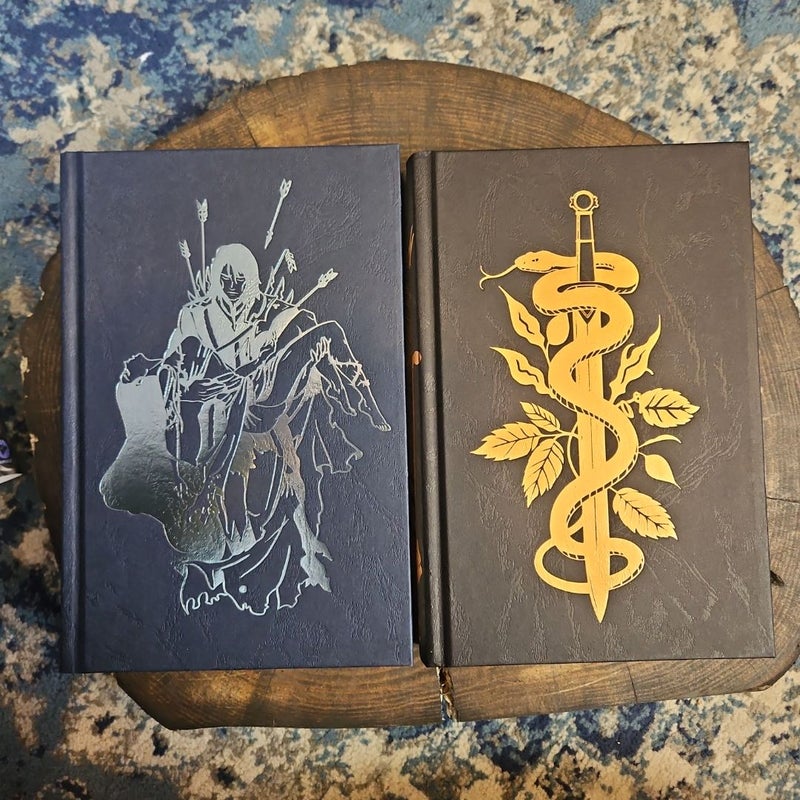 Nightbane & Skyshade B&N hidden covers editions