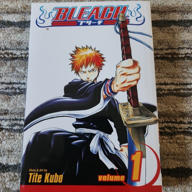 Bleach, Vol. 1