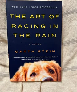 The Art of Racing in the Rain