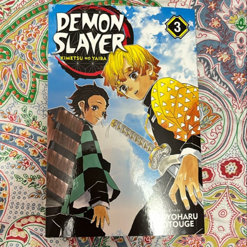 Demon Slayer: Kimetsu No Yaiba, Vol. 3