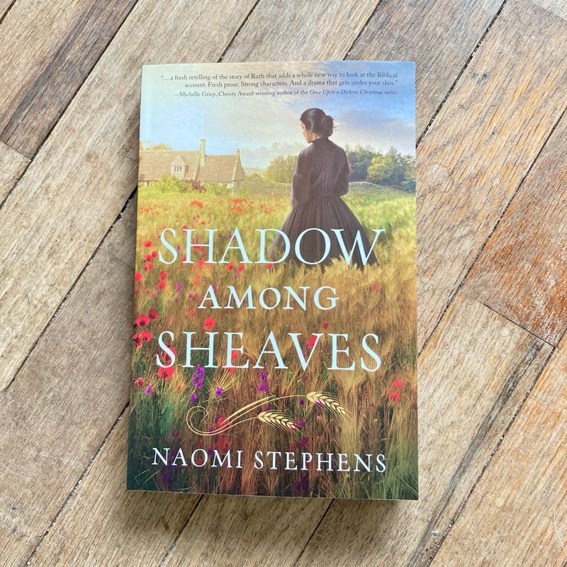 Shadow Among Sheaves