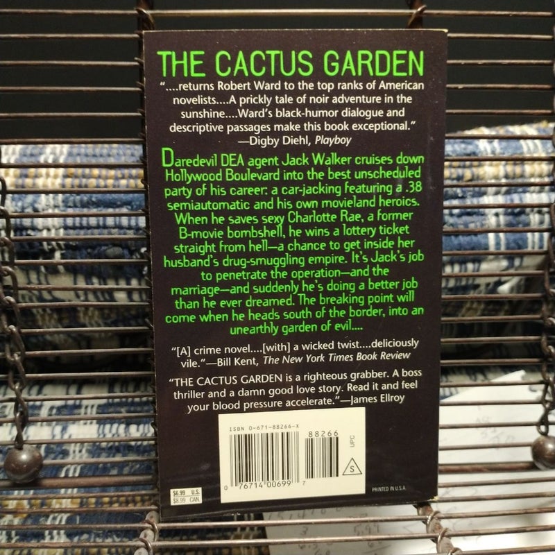 The Cactus Garden