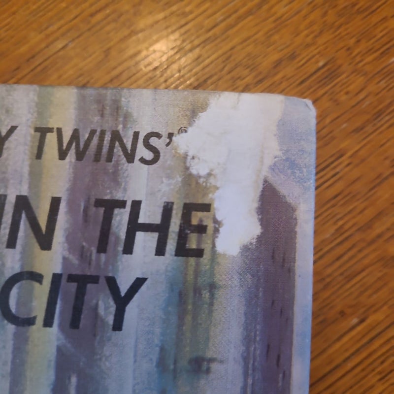 The Bobbsey Twins Search In The Great City