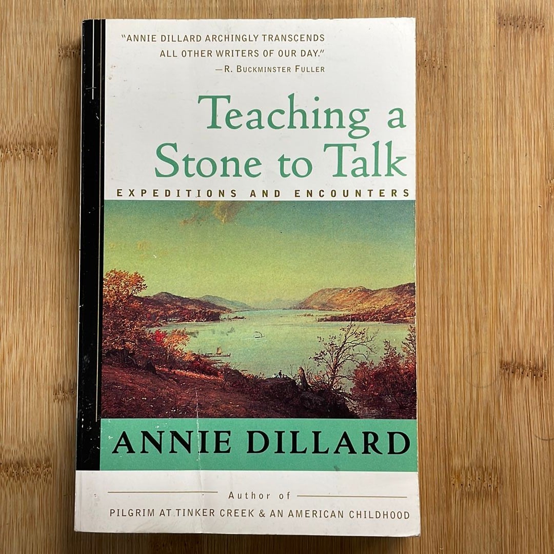 Teaching a Stone to Talk