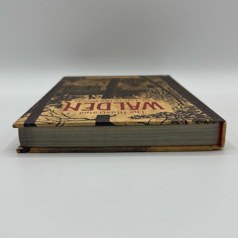 The Illustrated Walden or, Life in the Woods