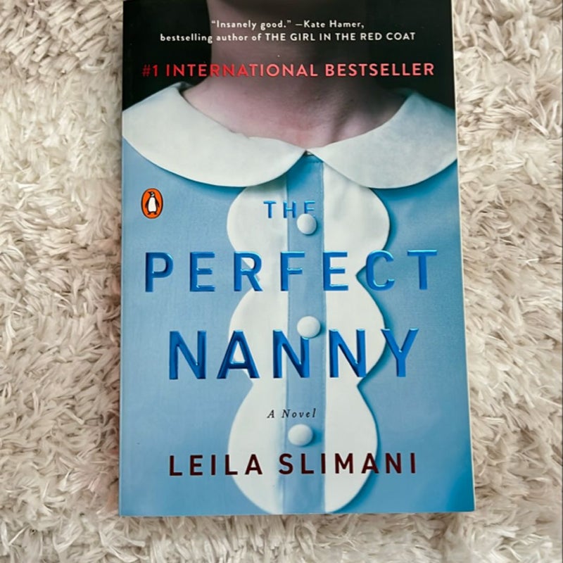 The Perfect Nanny