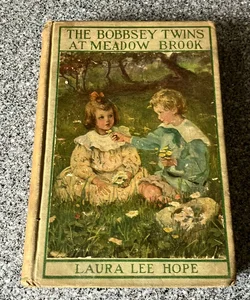 *The Bobbsey Twins at Meadow Brook