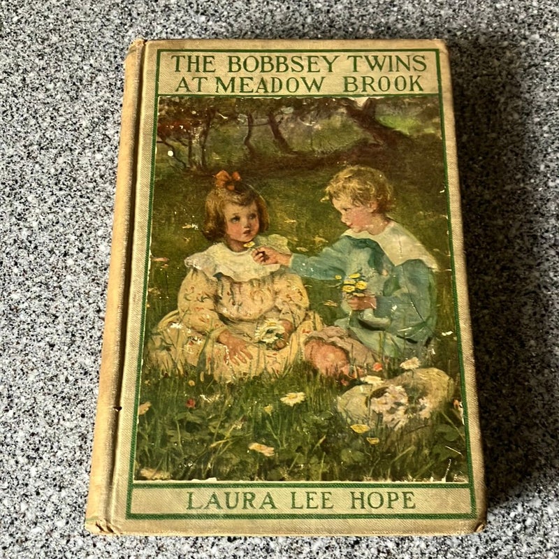 *The Bobbsey Twins at Meadow Brook