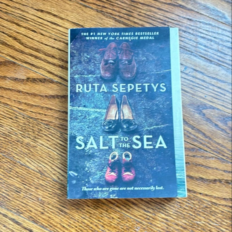 Salt to the Sea