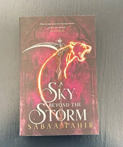 A Sky Beyond the Storm